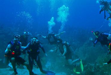 Exploración Subacuática, Isla Fuerte Ecolodge & Diving Center, Dive / Snorkeling, Caribbean Sea, Colombia