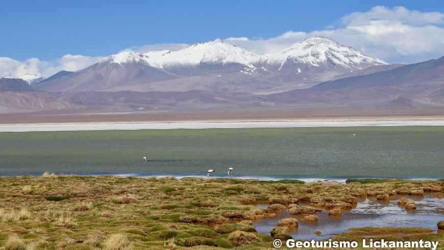 Laguna Santa Rosa Atacama Chile