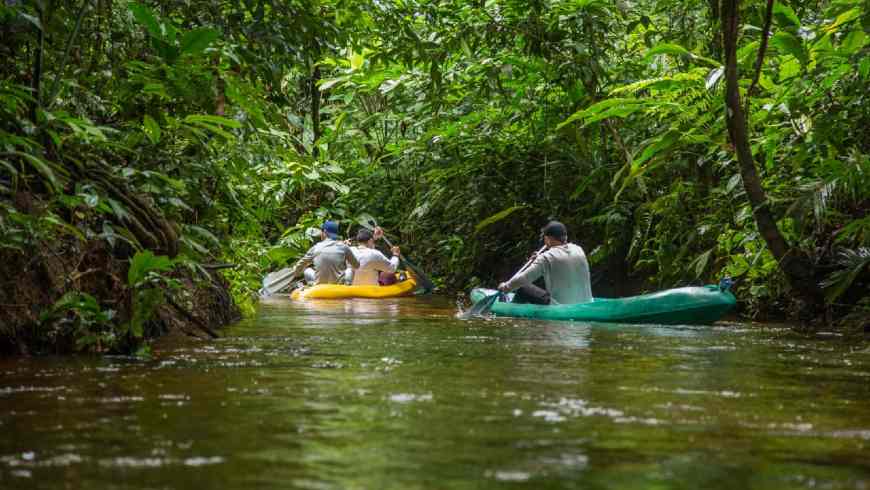 Exploring and Knowing the Amazon, Reserva Natural Tanimboca, Fauna and Flora sighting, Amazonas, Colombia